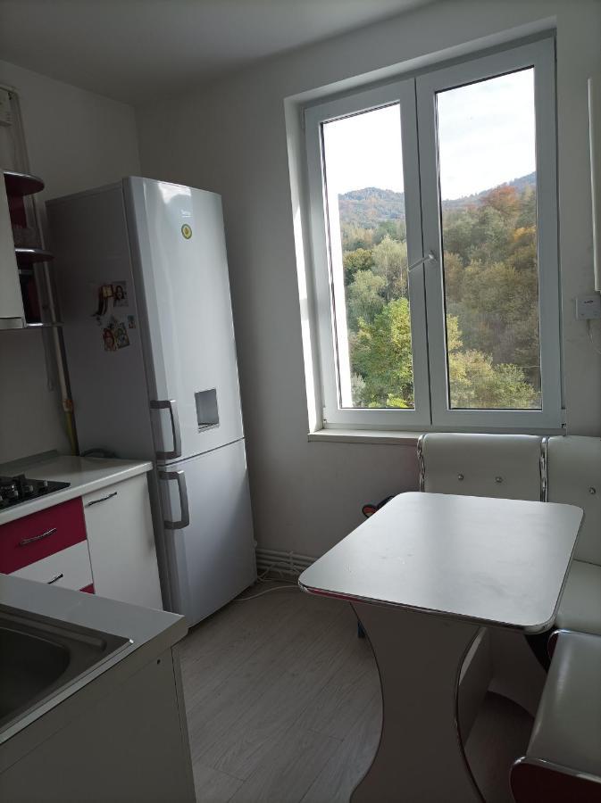 Apartament Doua Camere Uricani  Dış mekan fotoğraf